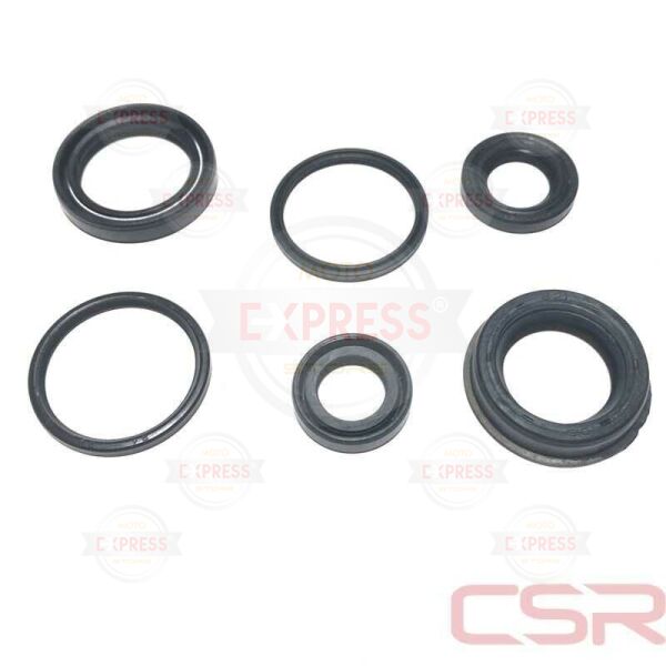 Moto Express KEÇE 6'LI PEP  TK CSR