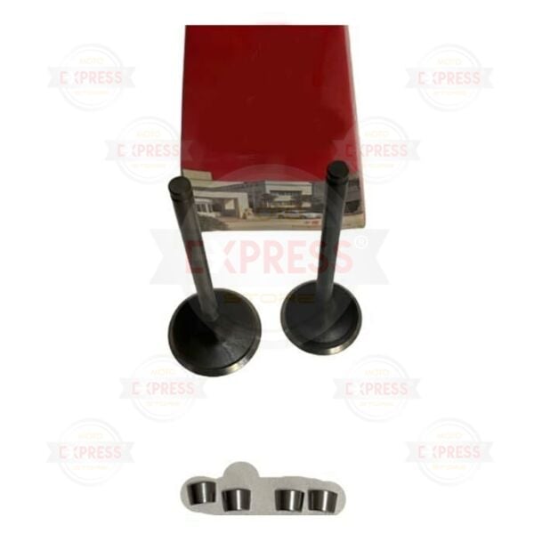 Tvs Jupiter Wego Neo X3i Scooty Zest 110 Subap Takımı Emme Egzoz Subabı Dg