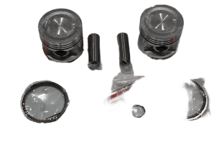 REGAL RMZ QM 250 CC 53.0 MM 0.25 15 PERNO PİSTON KİT