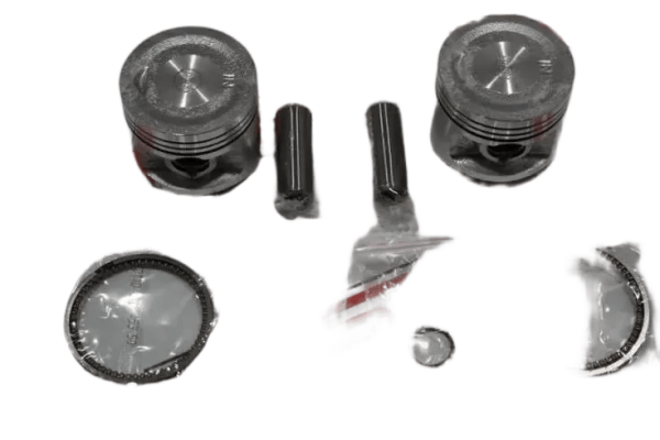 REGAL RMZ QM 250 CC 53.0 MM 0.25 15 PERNO PİSTON KİT