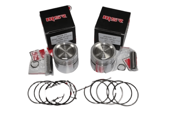 REGAL RMZ QM 250 CC 53.0 MM 0.50  15 PERNO PİSTON