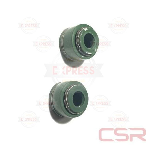 Moto Express SUPAP KEÇESİ CG TK