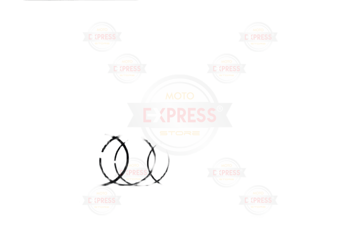 Tvs Apache 150 57 Mm Segman Tk Std Arp