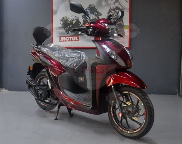 Honda Dio 110 2021-2023 Arka Yolcu Sırt Dayama SissyBar