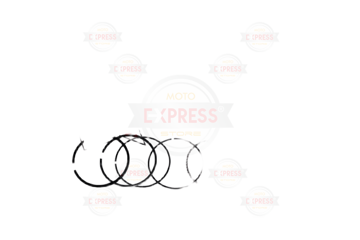 Tvs Wego Segman Tk Std Arp