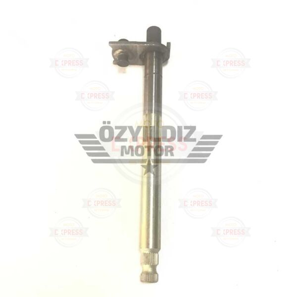 Moto Express VİTES MİLİ CG125