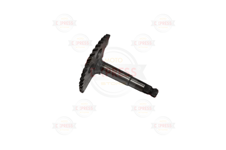 FIZY 125 MARŞ MİLİ