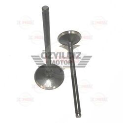 Moto Express SUPAP HUNK VTC