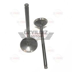 Moto Express SUPAP HUNK VTC