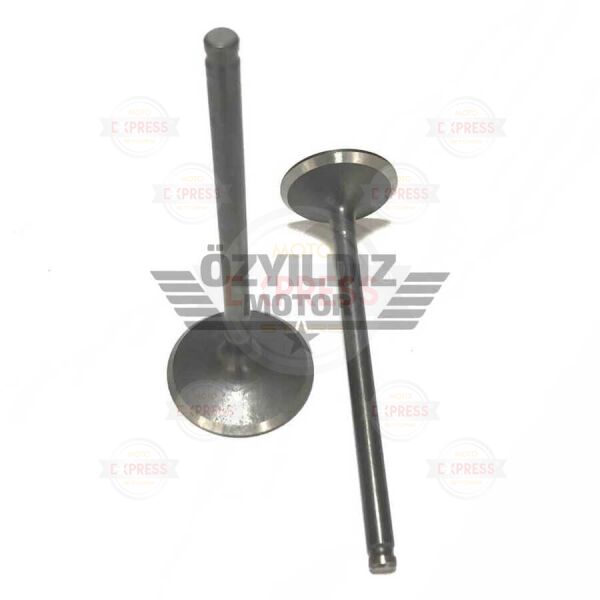 Moto Express SUPAP HUNK VTC