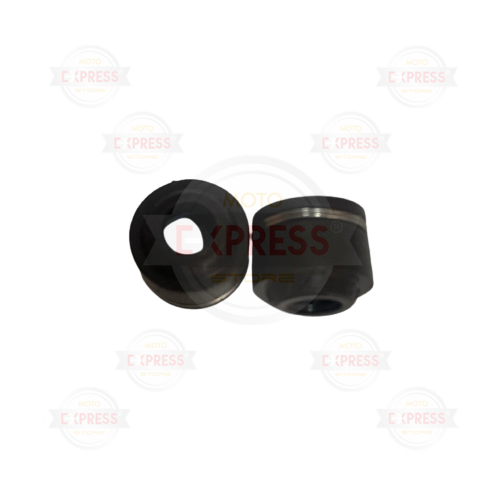 Moto Express SUPAP KEÇESİ TODEY T.K JP