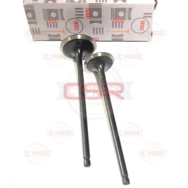 Moto Express SUPAP DİSCOVER 125 4 LÜ USHA