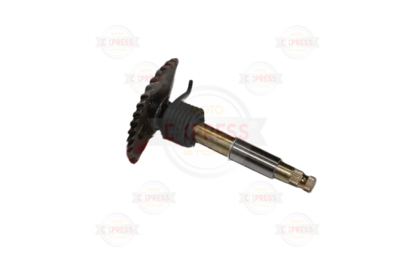 Rks Grace 202  Marş Mili