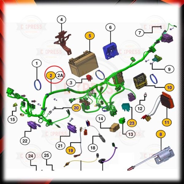 Tvs Apache RTR200 2024-2026 Elektrik Tesisatı A