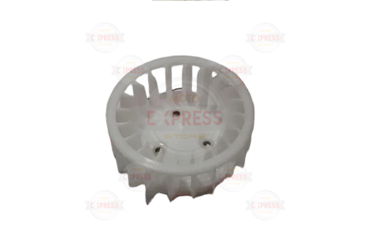 Bws 100 Manyeto Fanı