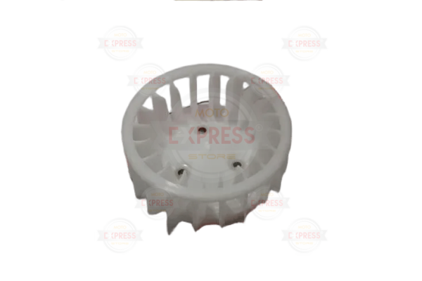 Bws 100 Manyeto Fanı