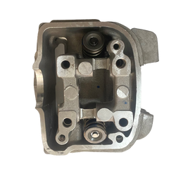 Moto Express SİLİNDİR KAFASI ACTIVA S OEM