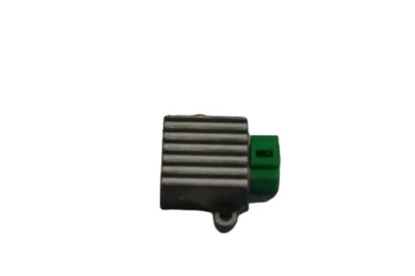 BWS 100 REGÜLATÖR