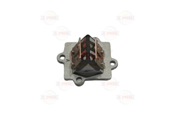 Bws 100  Diyafram Klape