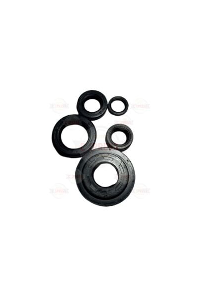 Honda Activa Beat 100 Krank Karter Şanzıman Debriyaj Keçesi Seti 5'li Hint