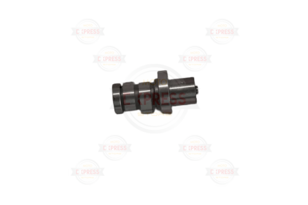 Ps 150 Dylan 150 Eksantrik Mili