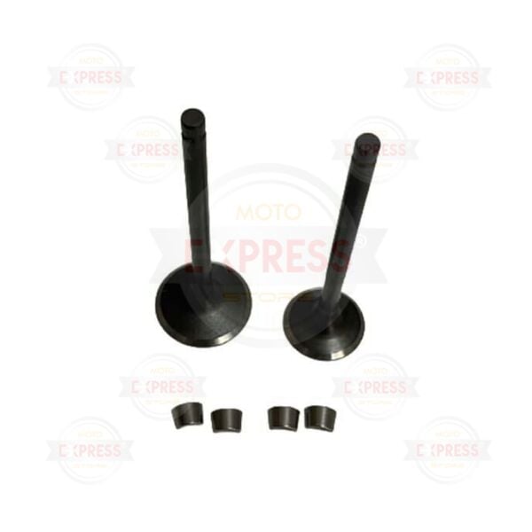 Honda Fizy125 2011-2017 Tırnaklı Subap Emme Egzoz Subabı Takımı Dg