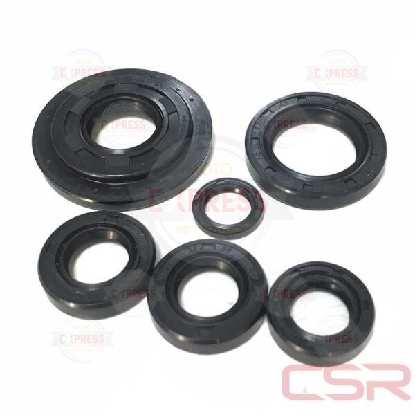 Moto Express KEÇE 6 LI ACTİVA CSR