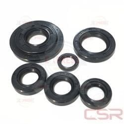 Moto Express KEÇE 6 LI ACTİVA CSR