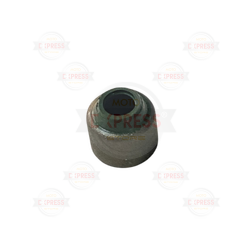 Moto Express SUPAP KEÇESİ NS200 A