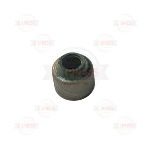 Moto Express SUPAP KEÇESİ NS200 A