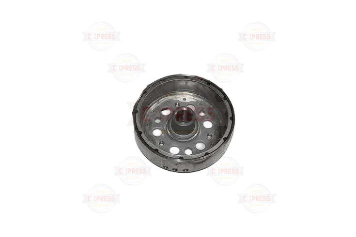 Honda Activa 125 Manyeto(Rotor) A