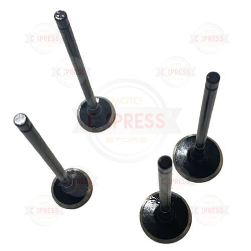 Moto Express SUPAP NS150