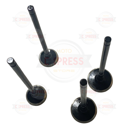 Moto Express SUPAP NS150