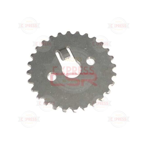 Moto Express EKSANTRİK YAPRAK DİŞLİ CRYPTON