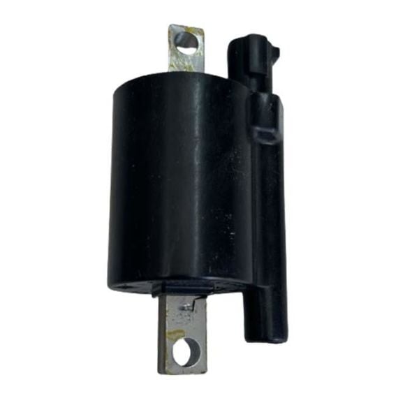 Bajaj Dominar D250 2020-2024 Elektronik Ateşleme Bobini A