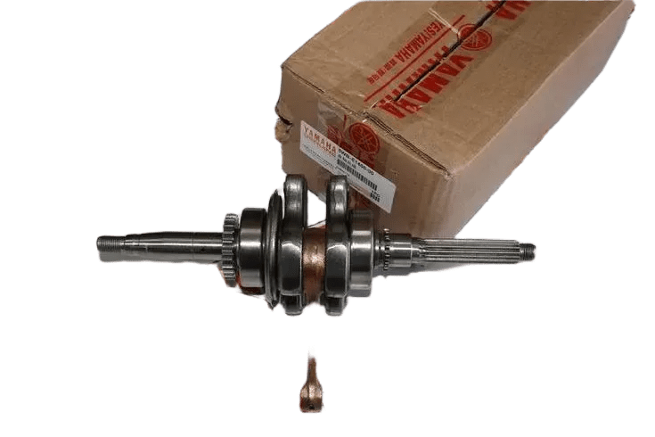 CYGNUS L KRANK A