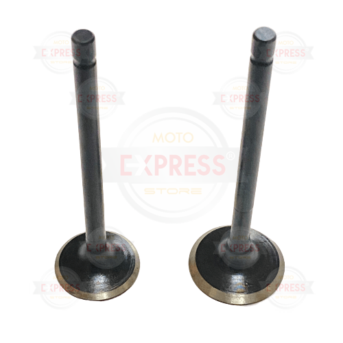 Moto Express SUPAP  WEGO CSR