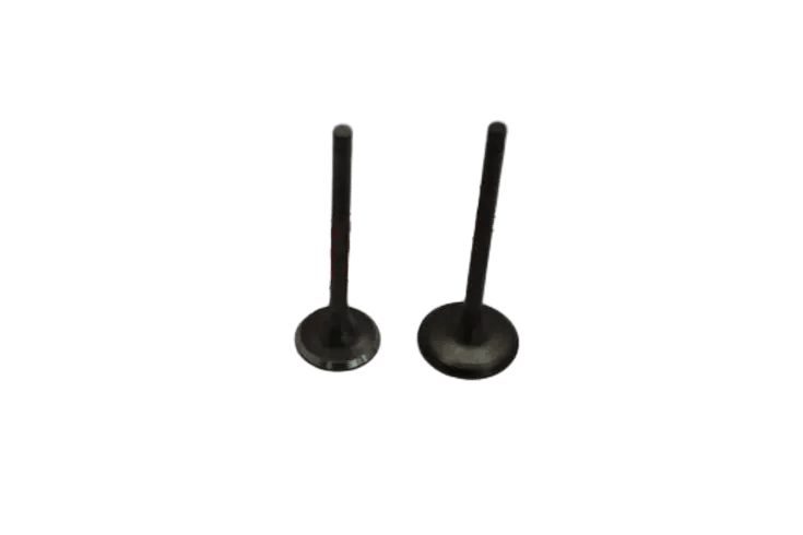 YBR 250 SÜBAP TK OEM