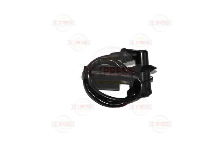 Cygnus L Ateşleme Bobini