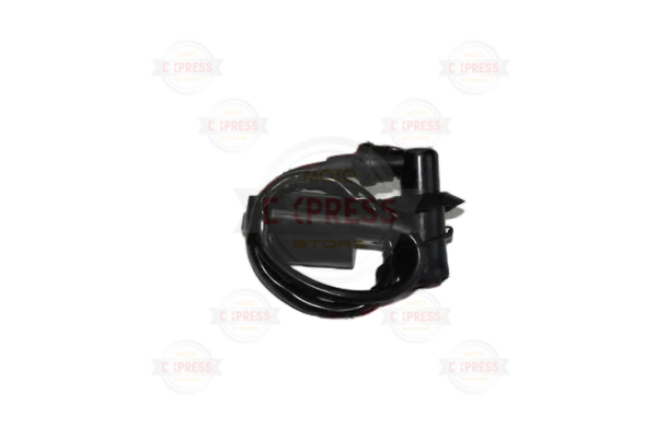 Cygnus L Ateşleme Bobini