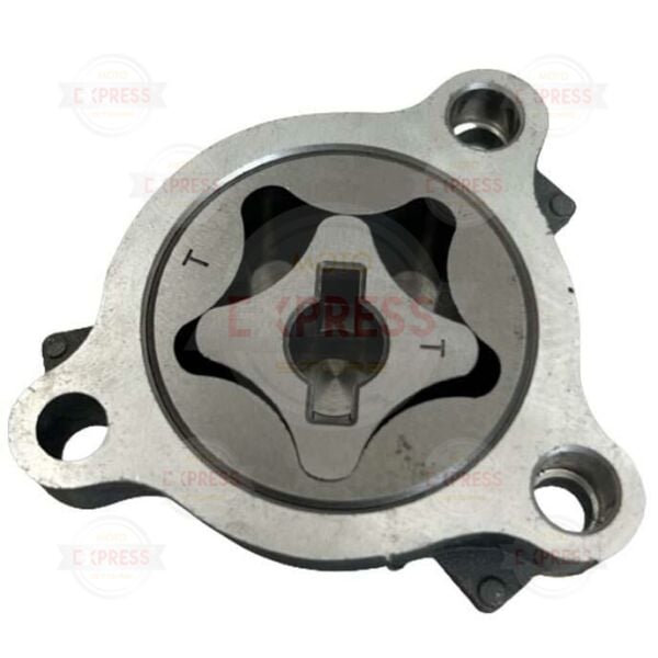 Bajaj Dominar D250 D400 UG 2017-2024 Yağ Tahliye Pompası A