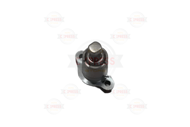 Fizy 125 Eksantrik Zincir Gergi Oem