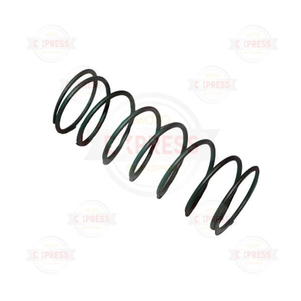 Yamaha Rayzr 125 Arka Varyatör  Yayı A