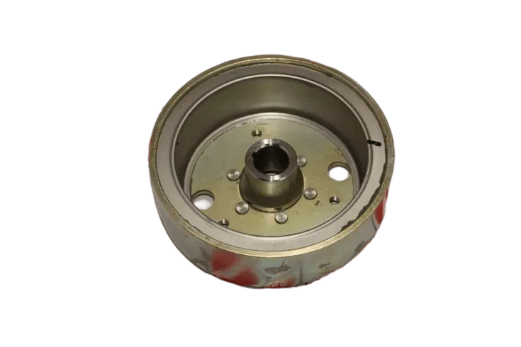 TVS SCOOTY PEP 90 CC ROTOR 8 Lİ