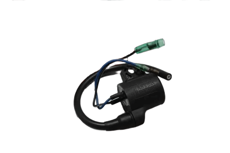 TVS SCOOTY PEP 75 CC DIŞ BOBİN
