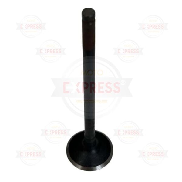 Bajaj Dominar D250 2020-2024 1 Adet Subap Egzoz Subabı A