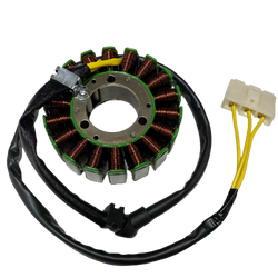 Moto Express STATOR NS 200 CSR