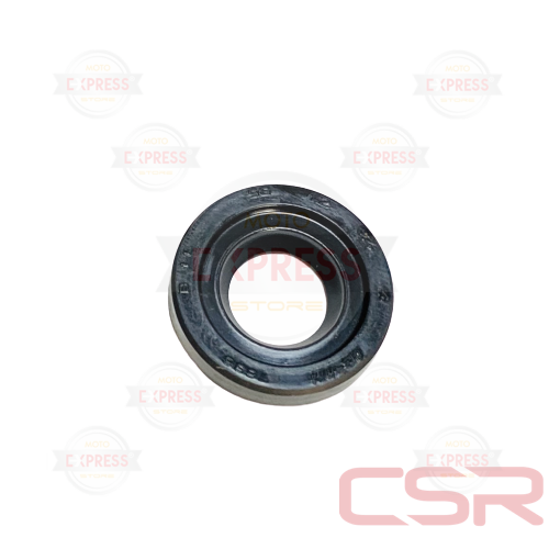 Moto Express SU POMPA  KEÇESİ NS200