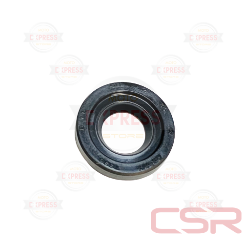 Moto Express SU POMPA  KEÇESİ NS200