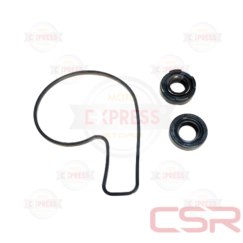Moto Express SU POMPA KEÇESİ TAKIM NS200
